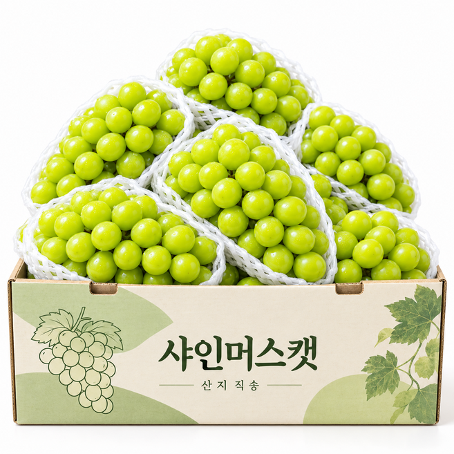[한정특가] 하루100박스 초고당도 꿀 샤인머스켓, 2kg, 1박스