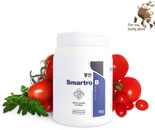 스마트로 B 붕산 1kg 세포분열촉진 착과증진 필수원소, 1개