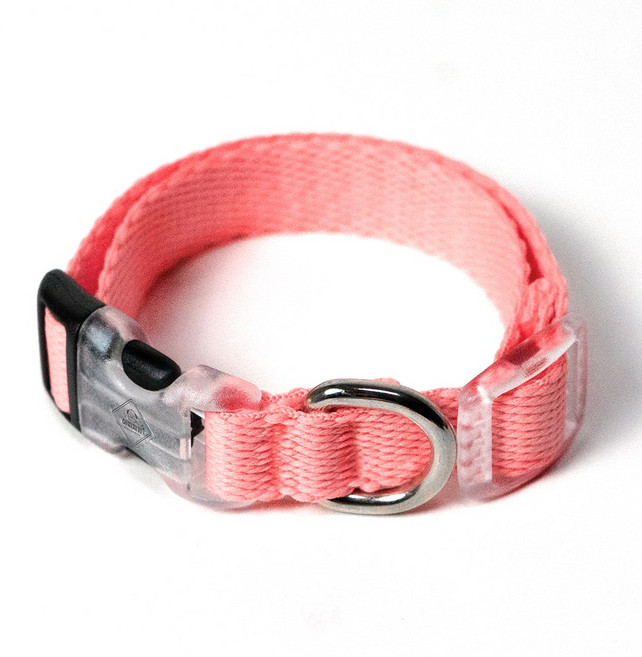 아띠지기 반려동물 웨빙 목줄, 코랄, 1개