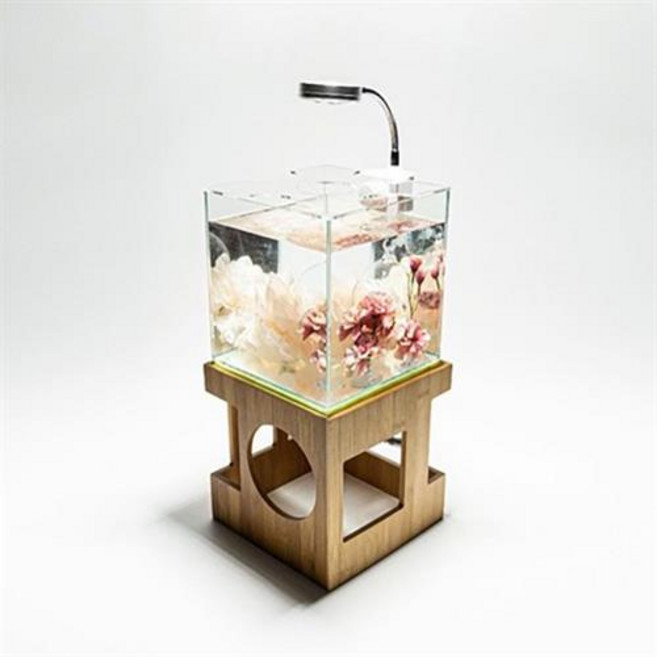 아마존 우드어항 AMZ-W20 풀 세트 베타 어항, 1개