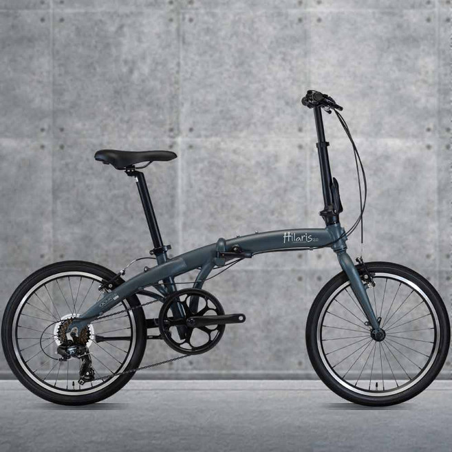 2023 알톤 로드마스터 힐라리스20 폴딩 20인치 접이식 미니벨로자전거, 무광블랙, 1개