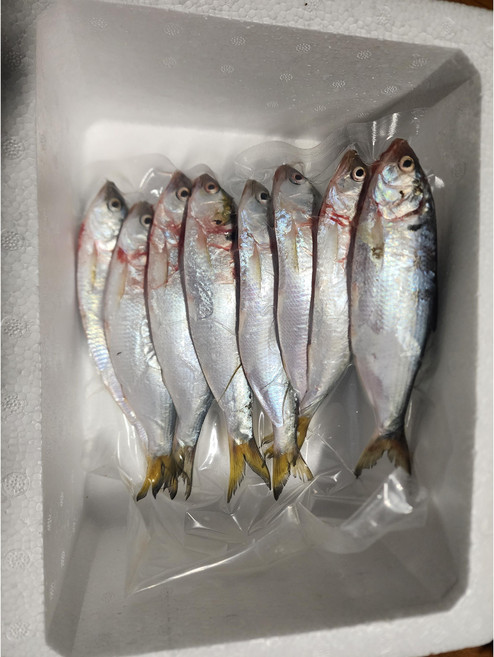 완도아가씨 김자반 파래자반 150g 건파래 무침 김국, 전어8마리, 1개