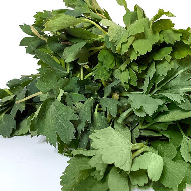 [미식한가] 청정 여수 금오도 방풍나물 봄나물 산나물, 1개, 1kg