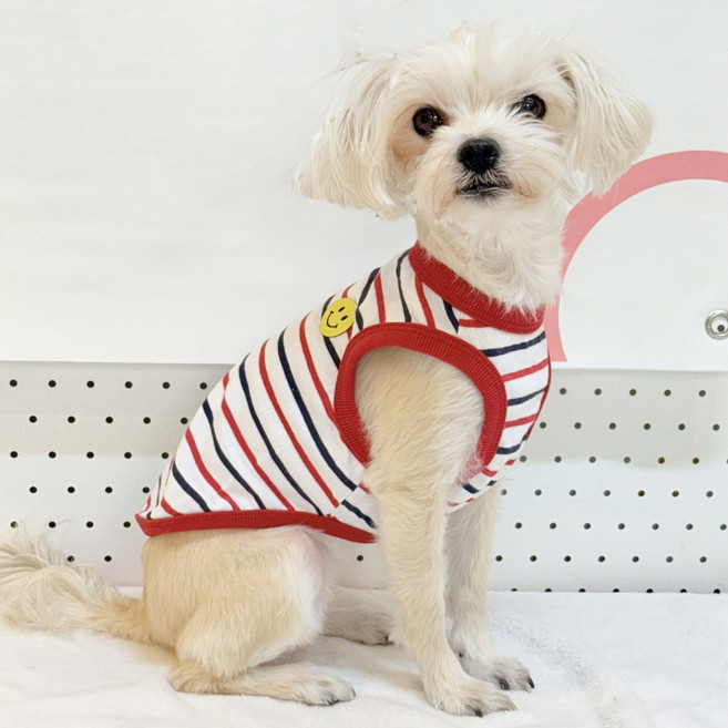 도기스타 강아지옷 깜찍포인트 민소매 나시 순면 티셔츠 소형 중형견 대형견옷, 1개, 레드