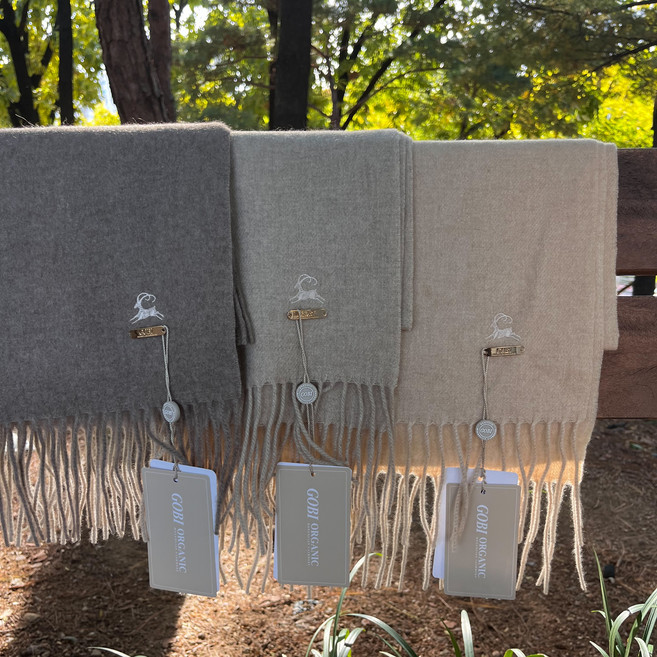 몽골 GOBI 고비 캐시미어 머플러 산양자수 금장 오가닉