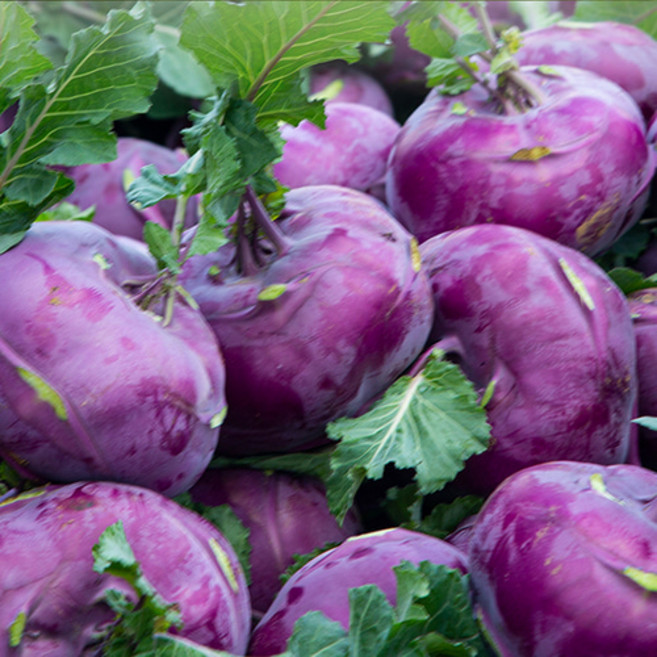 제주도 산지직송 콜라비, 5kg, 5kg, 1개