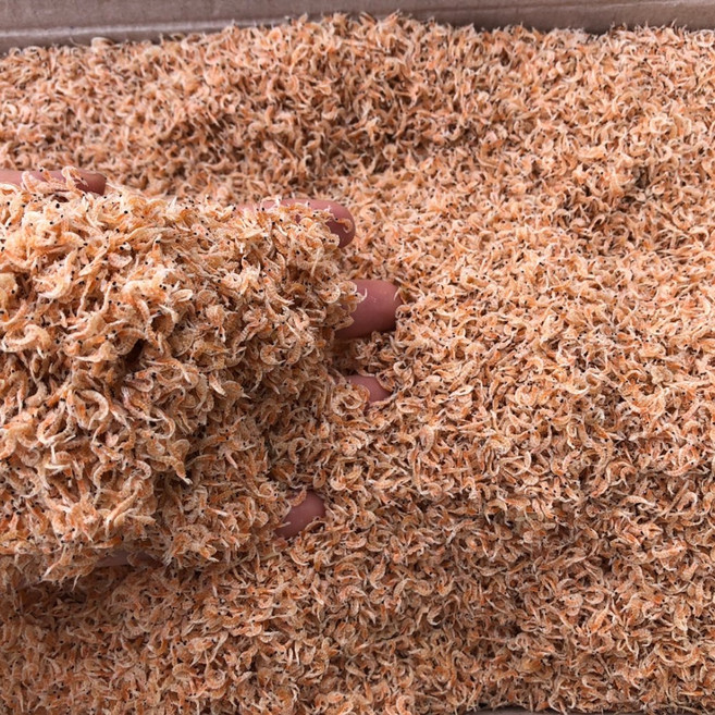 신건호멸치 볶음용 햇 밥새우(상급), 500g, 1개