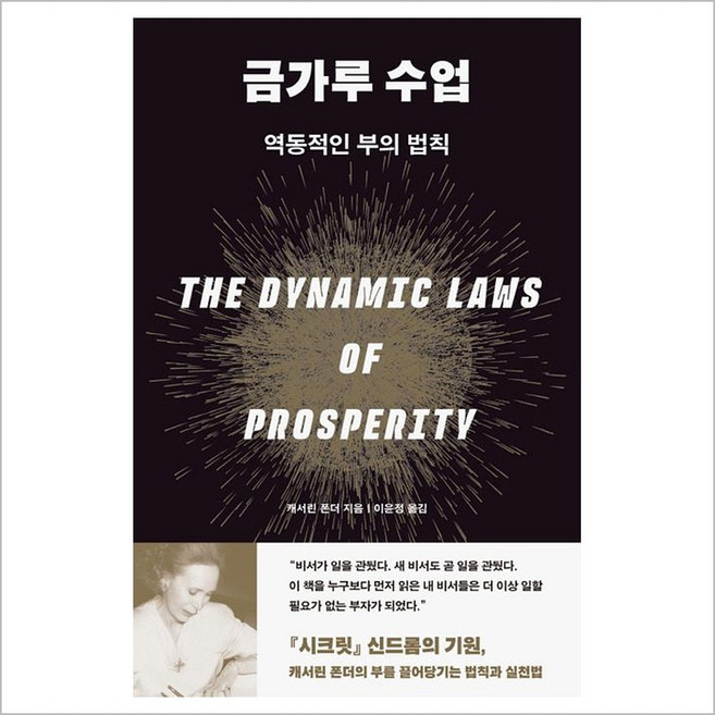금가루 수업 : 역동적인 부의 법칙 - 캐서린 폰더, 노들