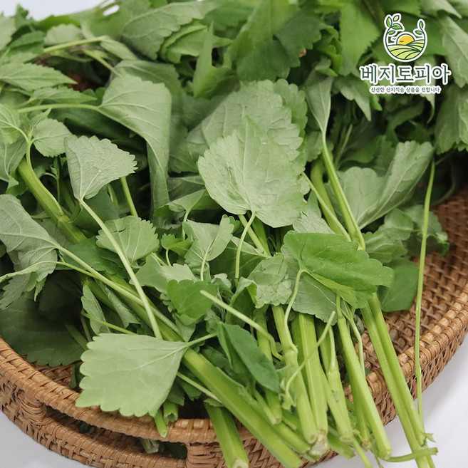 베지토피아 국내산 생 방아잎 4kg 배초향 방아 산초 향신료 초피 제피 [원산지:국산], 1개