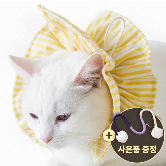 [speedmong] 목편한 초경량 시야 확보 반려동물 편안한 넥카라 고양이 강아지 깔대기 중성화, 파스텔옐로우, 1세트