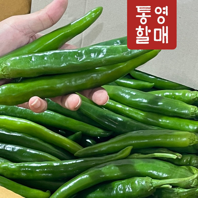 통영할매 고추 국산 청양고추 매운 땡초 반홍, 1개, 청양고추(상품)10kg