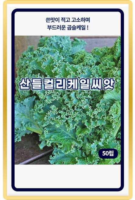 산들 컬리케일 씨앗 50립 부드러운 곱슬 케일씨 종자, 3개