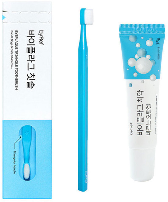 바이레프 바이플라그 칫솔 치약 세트 저자극 극세사모 설채현, 1세트, 15g