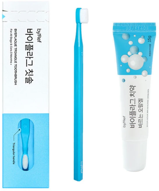 바이레프 바이플라그 칫솔 치약 세트 저자극 극세사모 설채현, 1세트, 15g - 쿠팡