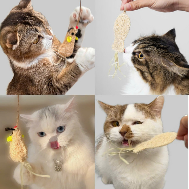 고양이 천연장난감. 냥이루파 1개, 세트, 1세트