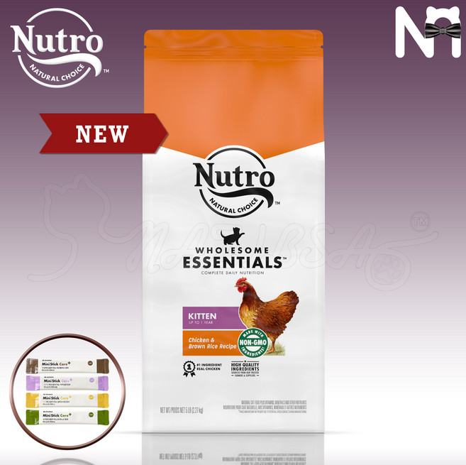 뉴트로초이스 캣 키튼 1세이하 닭고기와현미 2.27kg 자묘 임신 수유묘 고양이사료 (기한27년2월), 간식/지퍼백등 랜덤 증정, 상세페이지 참조, 1개