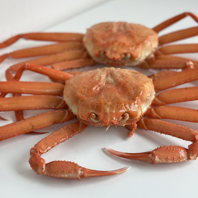 동해 울진 후포항 자숙 홍게 1.5kg 3kg 위판용 프리미엄 당일조업발송, 1박스, 육수용자숙홍게3kg