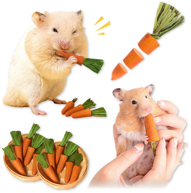 햄찌무드 햄스터 이갈이 간식 동결건조 과일 당근 15P, 1세트