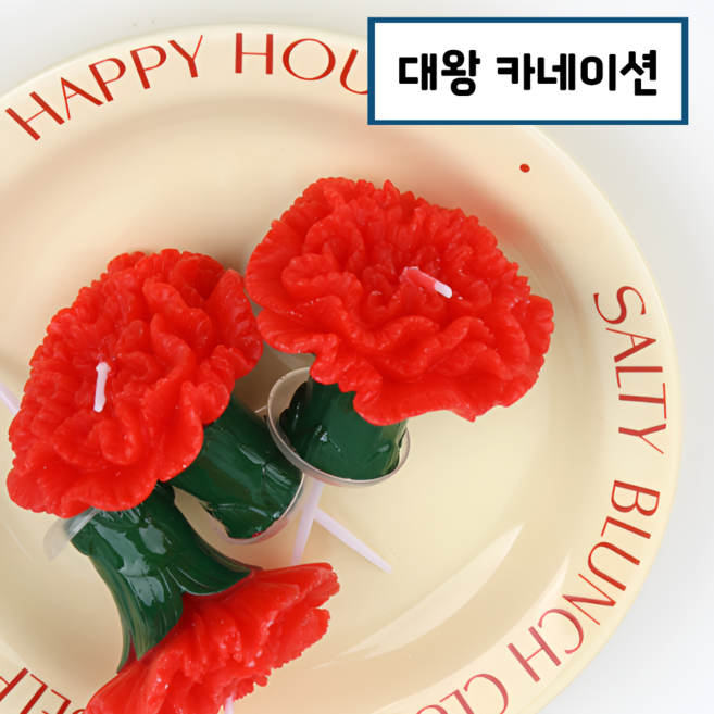 어버이날 스승의날 가정의달 대왕 카네이션 초, 레드, 1개