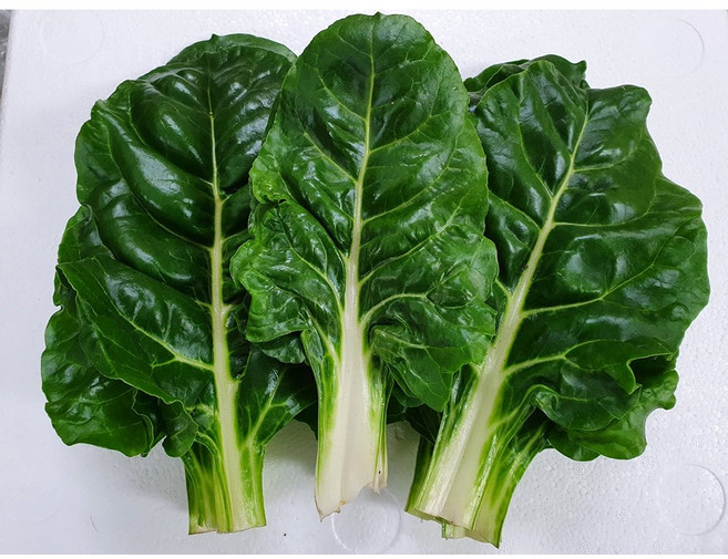 야채이야기 싱싱한 적근대 500g, 1개