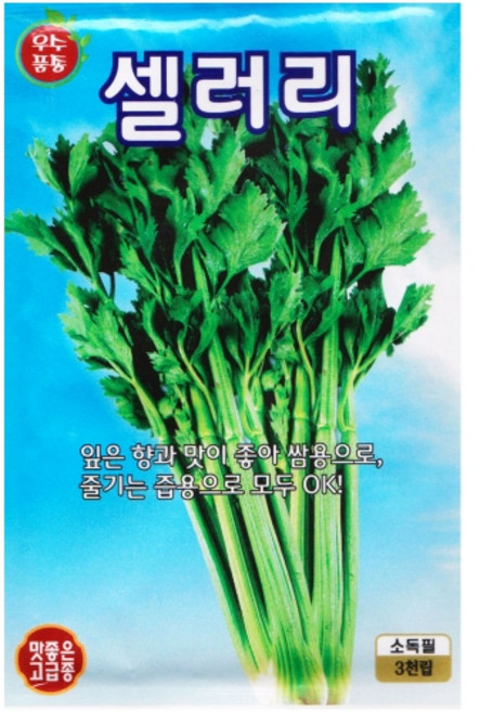 KS 셀러리 씨앗 3000립 영농사 셀러리씨, 3개