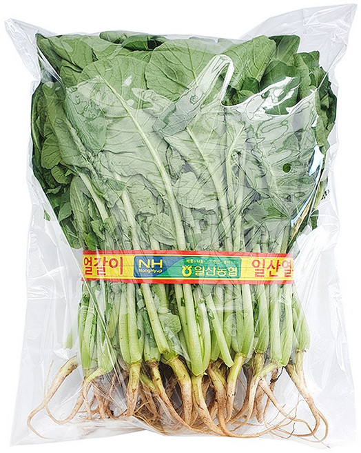 [PA] PP열무한단 무지 봉투 가게 마트 식재료 얼갈이 야채 채소 비닐 봉지, FREE(one size), 1개, 1000개입, [PA] PP열무한단 무지봉투