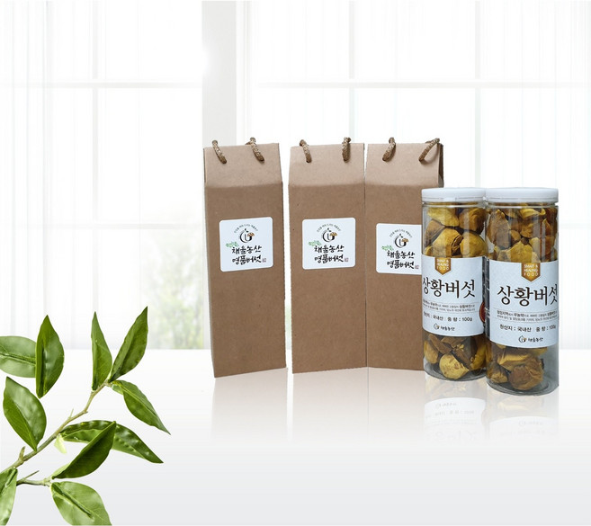[채울농산] 추천상품 국산100% 장수 상황버섯(baumii 최상품) 1개월분, 100g 선물용, 1개