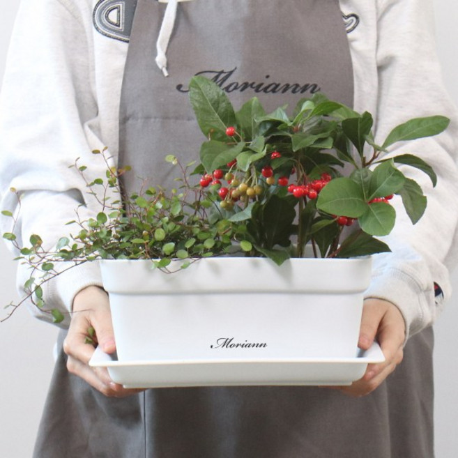 모리앤 초화박스 4p + 화분 받침 4p, 화이트, 1개