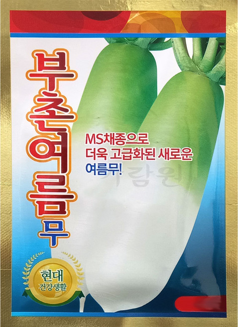 부촌 여름무 씨앗 무 종자 무씨 무씨앗 무우 씨 5g, 1개
