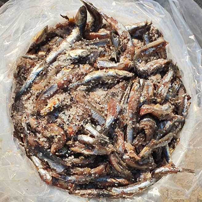 기장 멸치젓갈 대변항 김장 멸치액젓, 작년 멸치젓갈 (1년묵은것), 1개, 15kg