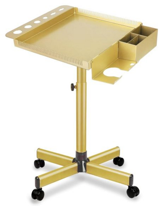 살롱 시뇨르 트레이 카트 높이 조절 가능한 악기 타투 트롤리 헤어 컬러 보관, Gold, Gold, 1단