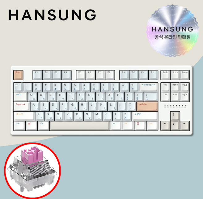 한성 TFG 매그니톡스 2XL 8K 래피드트리거 멀티파스텔 저소음 자석축, 단품, 단품