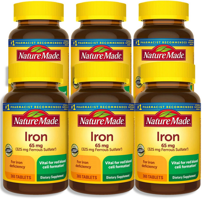 Nature Made 네이처메이드 철분 65mg 황산제일철 325mg 365정, 6개
