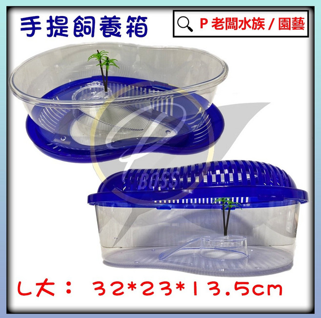 P老闆水族 手提烏龜盒 烏龜飼養箱 兩棲爬蟲外出盒, 1個, 大