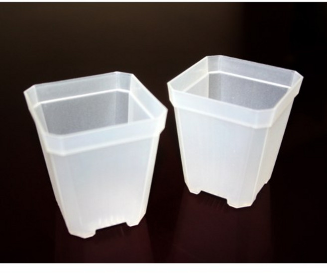 투명삽목화분 - 슬릿분 롱슬릿분 삽목분 사각화분 플분 투명포트 10개 20개 30개 40개, 사각(소) 10개