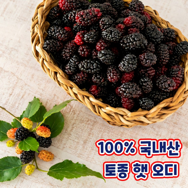 산지직송 100% 국내산 냉동 토종 햇 오디 달콤한 오디열매, 1박스, 토종 오디 2kg