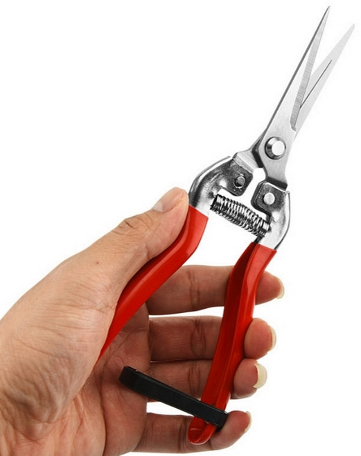 포도 고추 꼭지가위 꽃가위 스텐 원예가위 전지가위, 1개