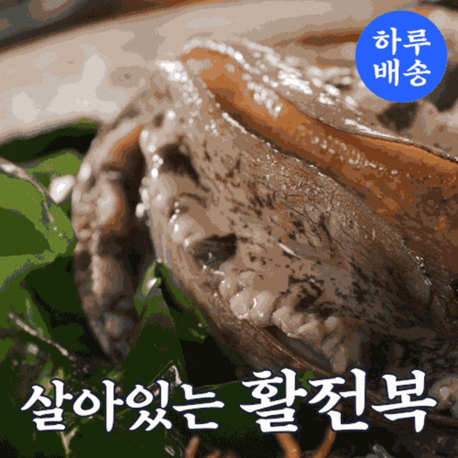 뚱복이 명품 완도 활 전복 1kg 설 명절 선물세트, 11호 실속 17-18미 1kg, 1개