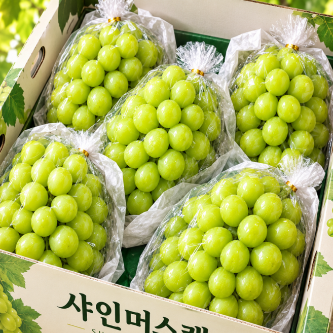 [50박스한정] 타임특가 고당도 샤인머스캣, 1박스, 2kg