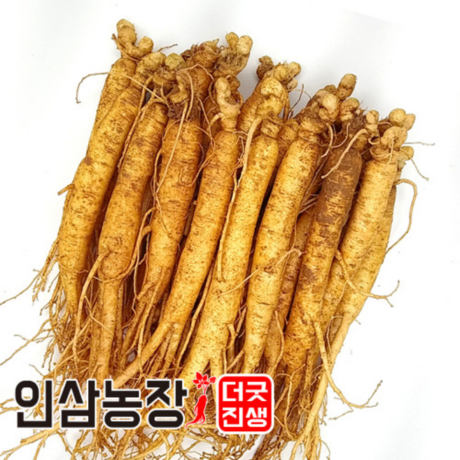 더굿진생 인삼 수삼 금산인삼 삼계삼 350g, 1개, (세척안함)알뜰형 350g(16~20뿌리)