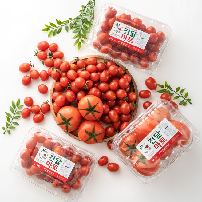 스테비아 토마토 샤인마토 토망고 단마토 방울토마토 1kg 2Kg, 4팩, 스테비아토마토(500g)