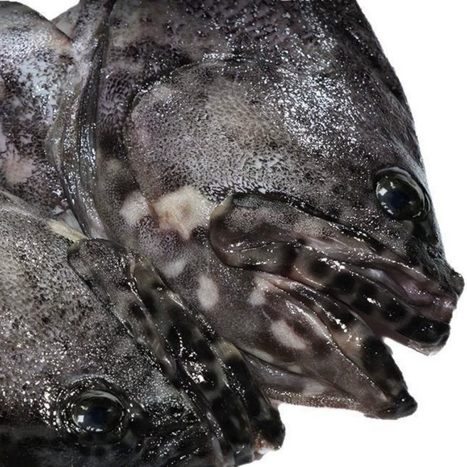 [초특가가성비] 극락의맛 쫀득탱글살결 북해도 반건조우럭, 1세트, 450g (3미)