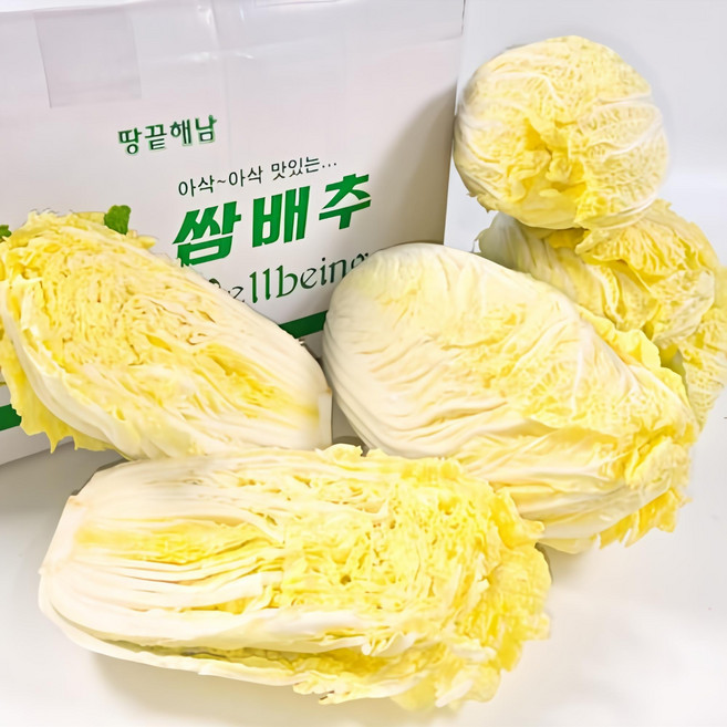 당일발송 땅끝 해남 아삭아삭 맛있는 알배기배추, 500g, 3개