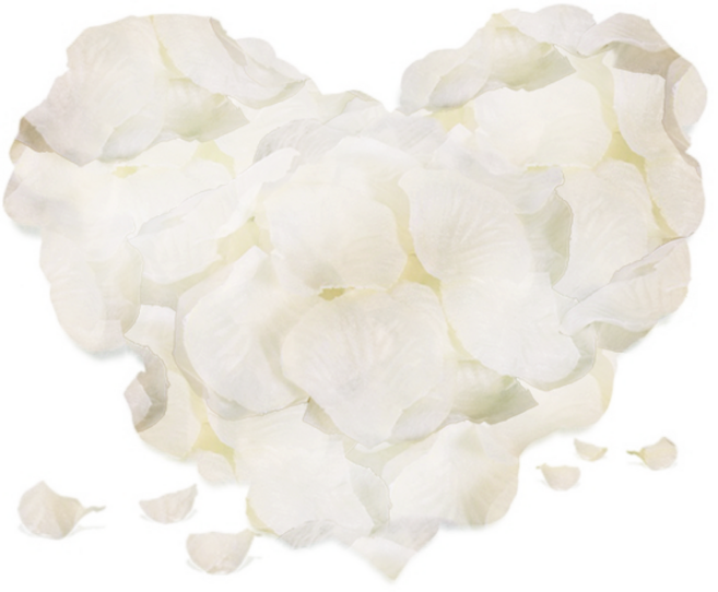 규글링 이벤트용 파티 장미꽃잎 조화 1000개, 1세트, 샴페인