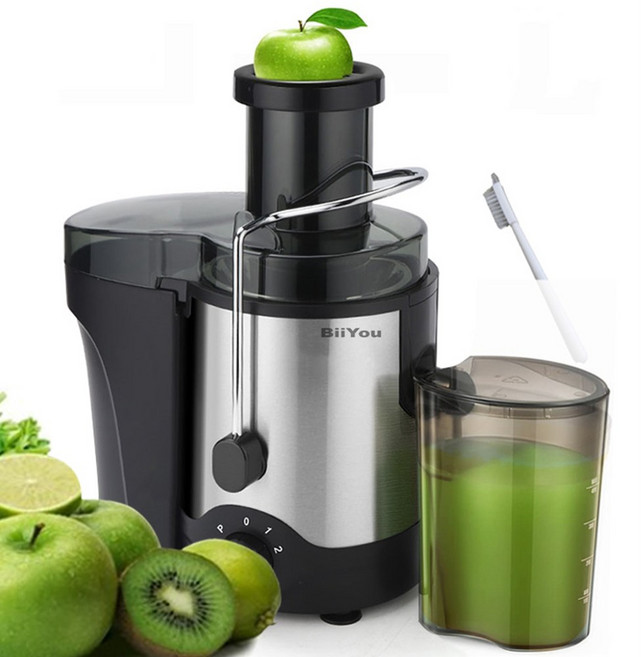 BiiYou 스테인리스 착즙기 600ml 원액기 가정용 분리 과즙기 600W고출력 믹서기, 실버블랙
