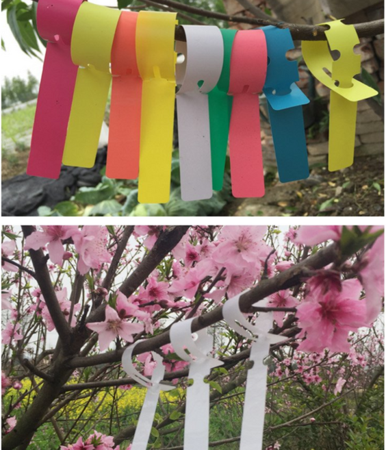 수목표찰 식물 나무 이름표 200p 걸이형 방수라벨 표식 조경 원예 NDB, 레드 200p, 200개