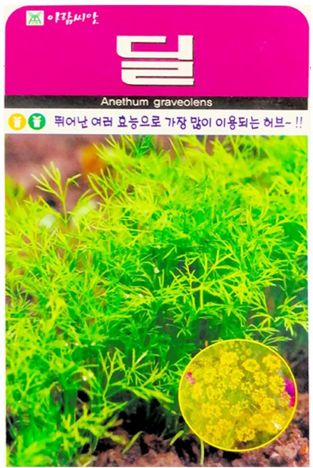 아람종묘 허브 딜 씨앗 300p, 1개
