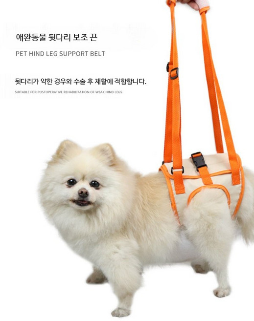 후지마비 강아지슬개골보호대 고양이 수술 뒷다리 보조 벨트 노견, 오렌지-3세대 보조복 L 16kg, 1개