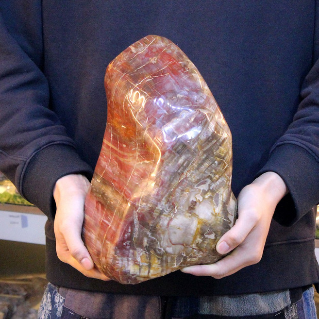 크리스탈블레싱 규화목 목화석 나무화석 규화석 천연원석 CBT3872