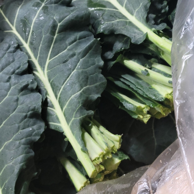 삼촌픽 케일 국내산 신선케일 샐러드용 녹즙용 채소 1kg, 단품, 단품